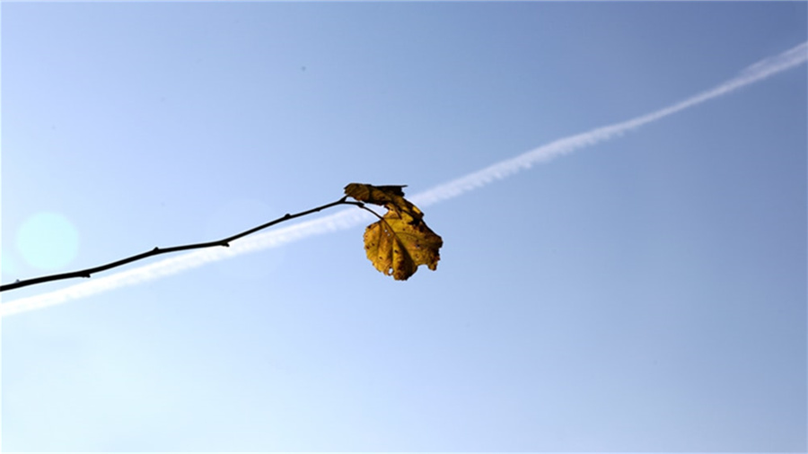 金士顿Canvas Select Plus MicroSD卡怎么样